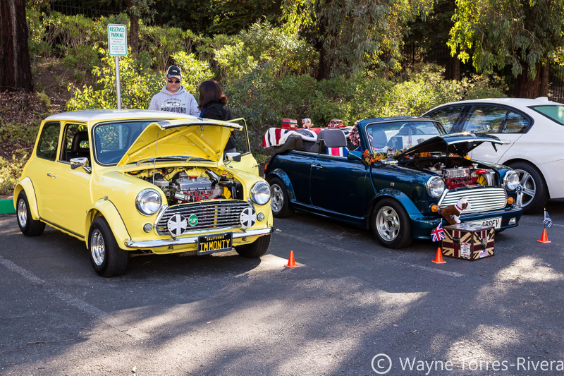 Illustration for article titled Get me some Spotted Dick!: Pictures from the All British Motor Show